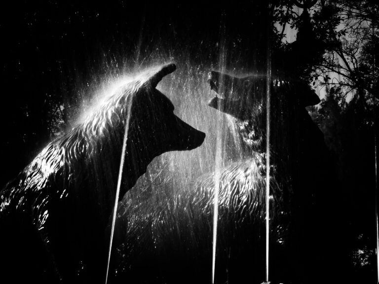 Centro de Coyoacán 2023 | Canon m50 + Tamron 18-200 mm | IG: @bosniomx